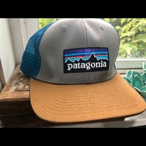 Patagonia trucker hat